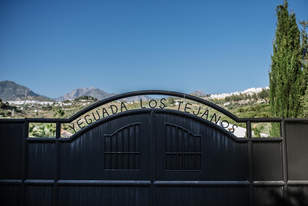 La Perla De Frigiliana Bed & Breakfast Deluxe Dış mekan fotoğraf