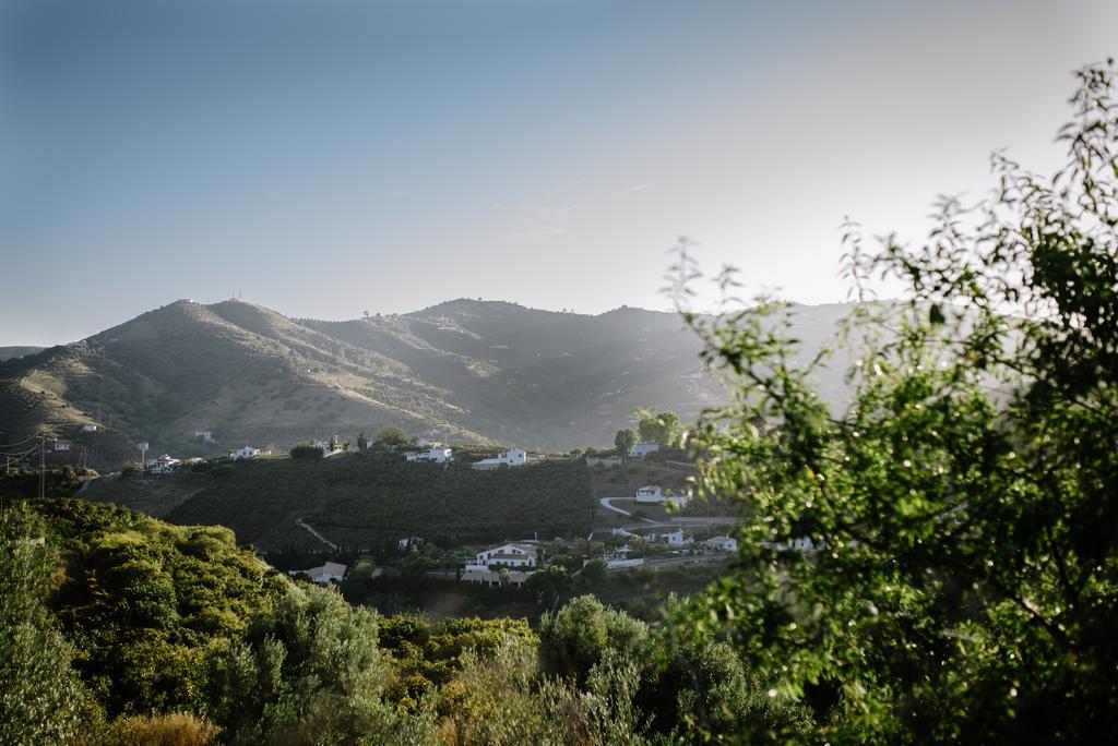 La Perla De Frigiliana Bed & Breakfast Deluxe Dış mekan fotoğraf