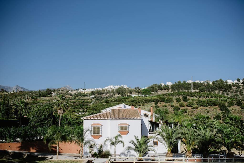 La Perla De Frigiliana Bed & Breakfast Deluxe Dış mekan fotoğraf
